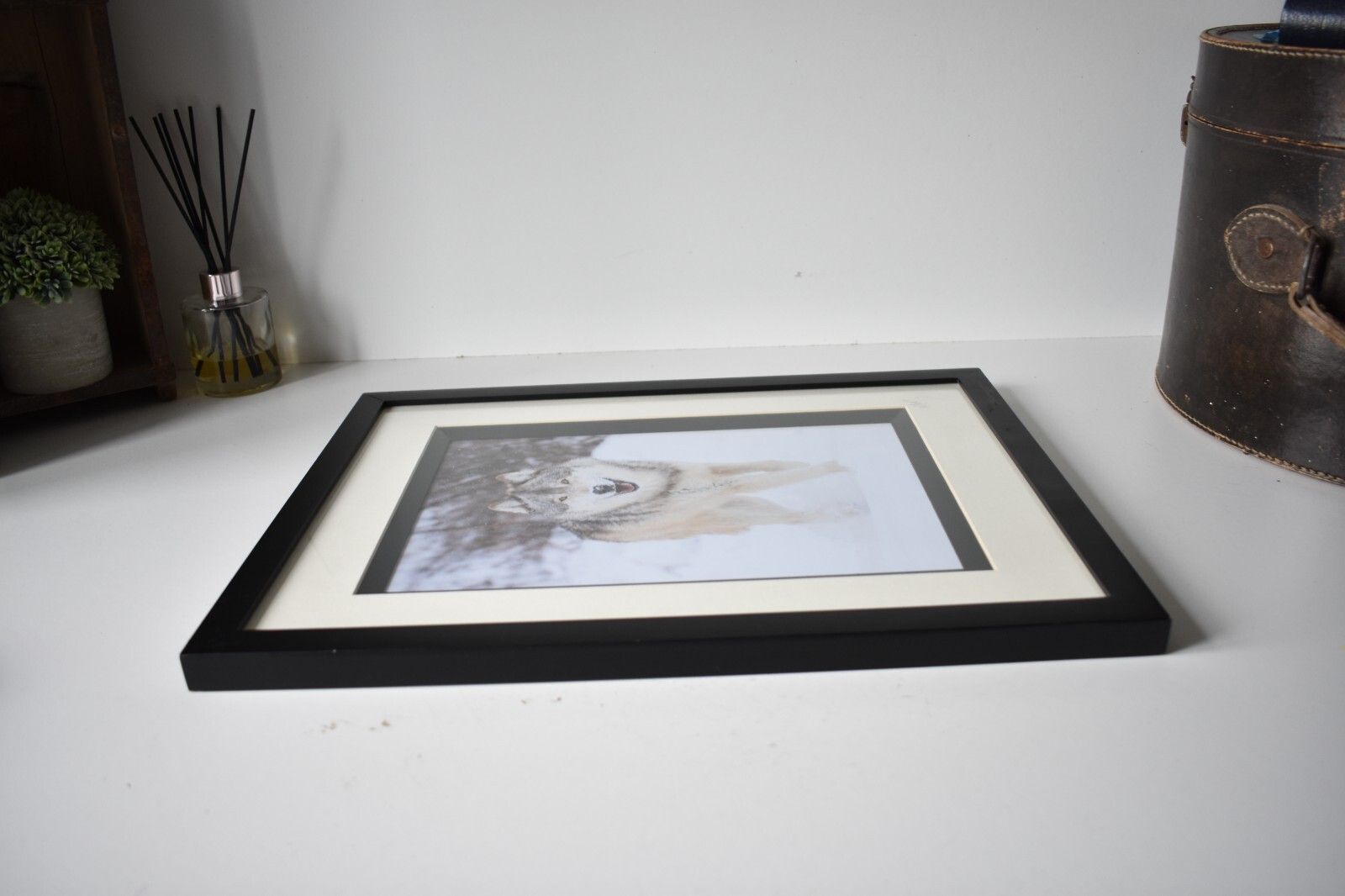 Art Wolf Original Photography Print Mounted Framed Mike Perez Wildlife Wolves Signed photo