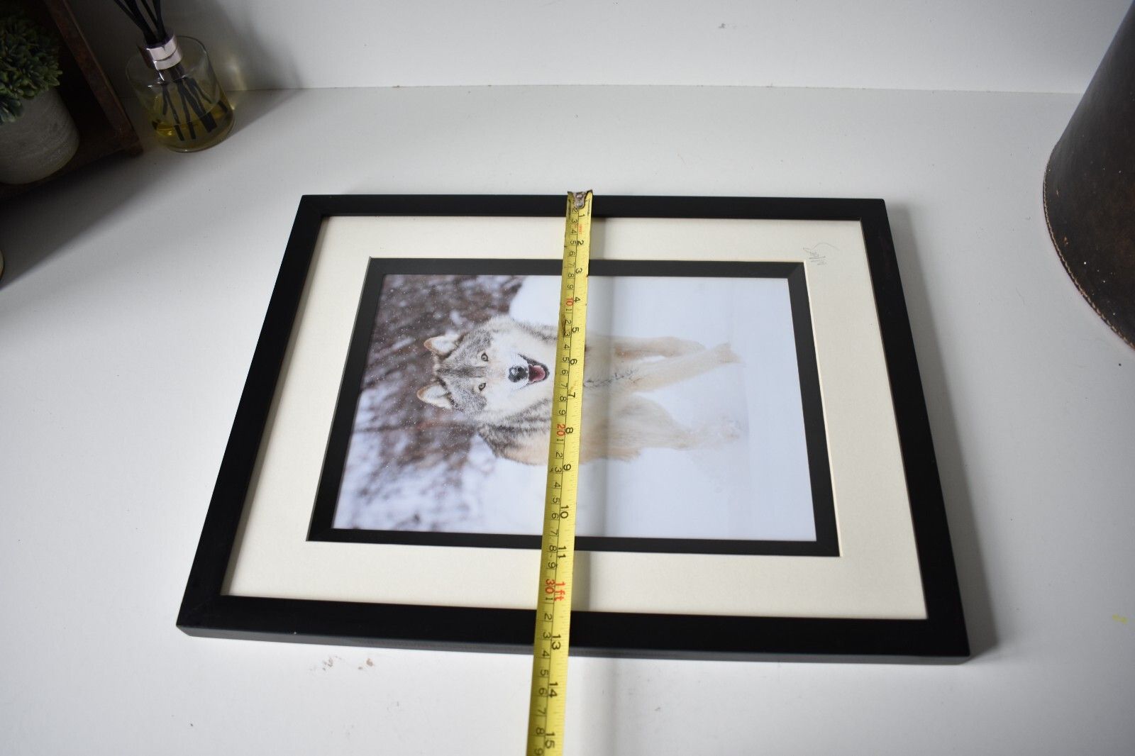 photo buy Wolf Original Photography Print Mounted Framed Mike Perez Wildlife Wolves Signed