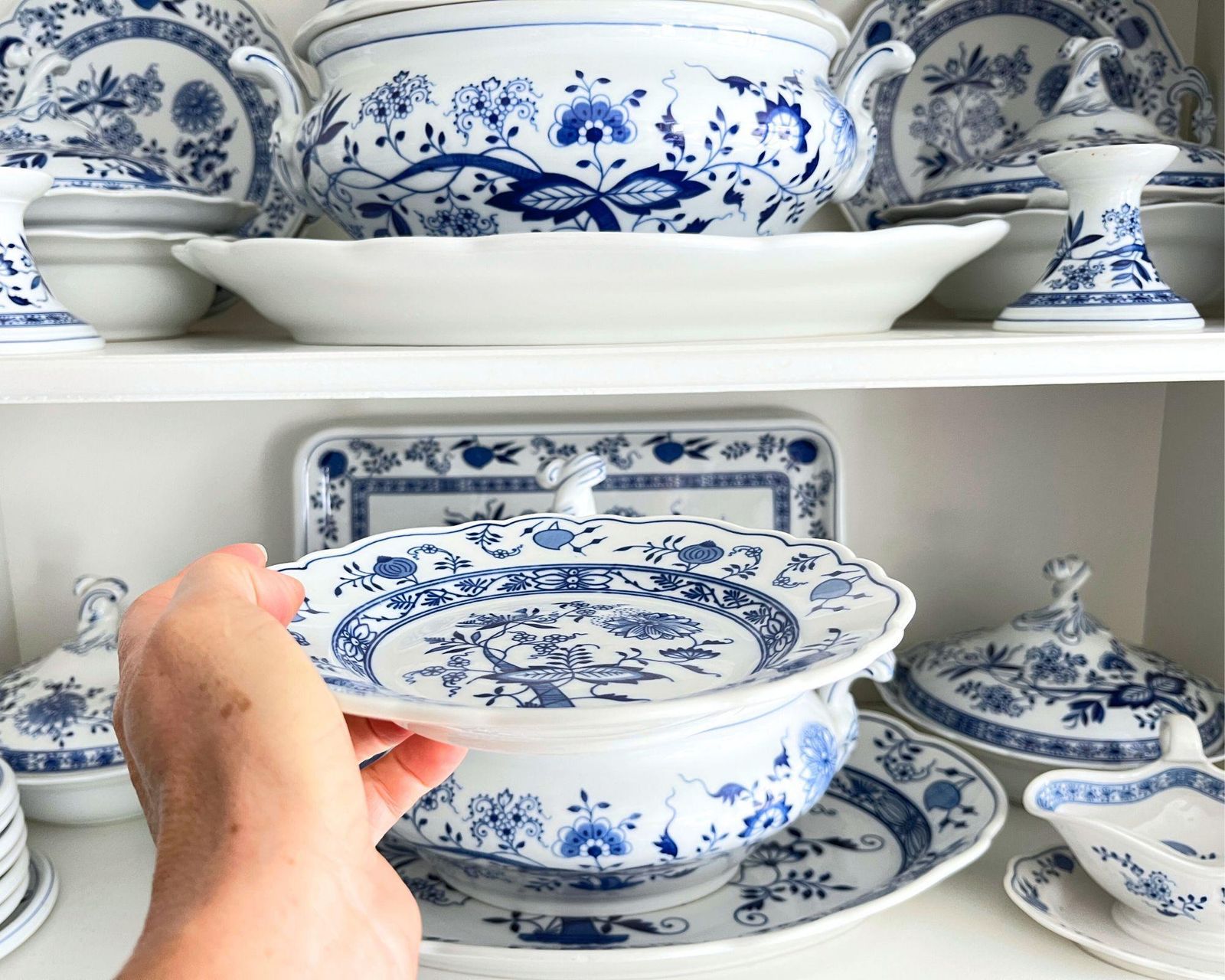 Blue Onion Antique Plates | 16pcs | Porcelain By Hutschenreuther photo buy