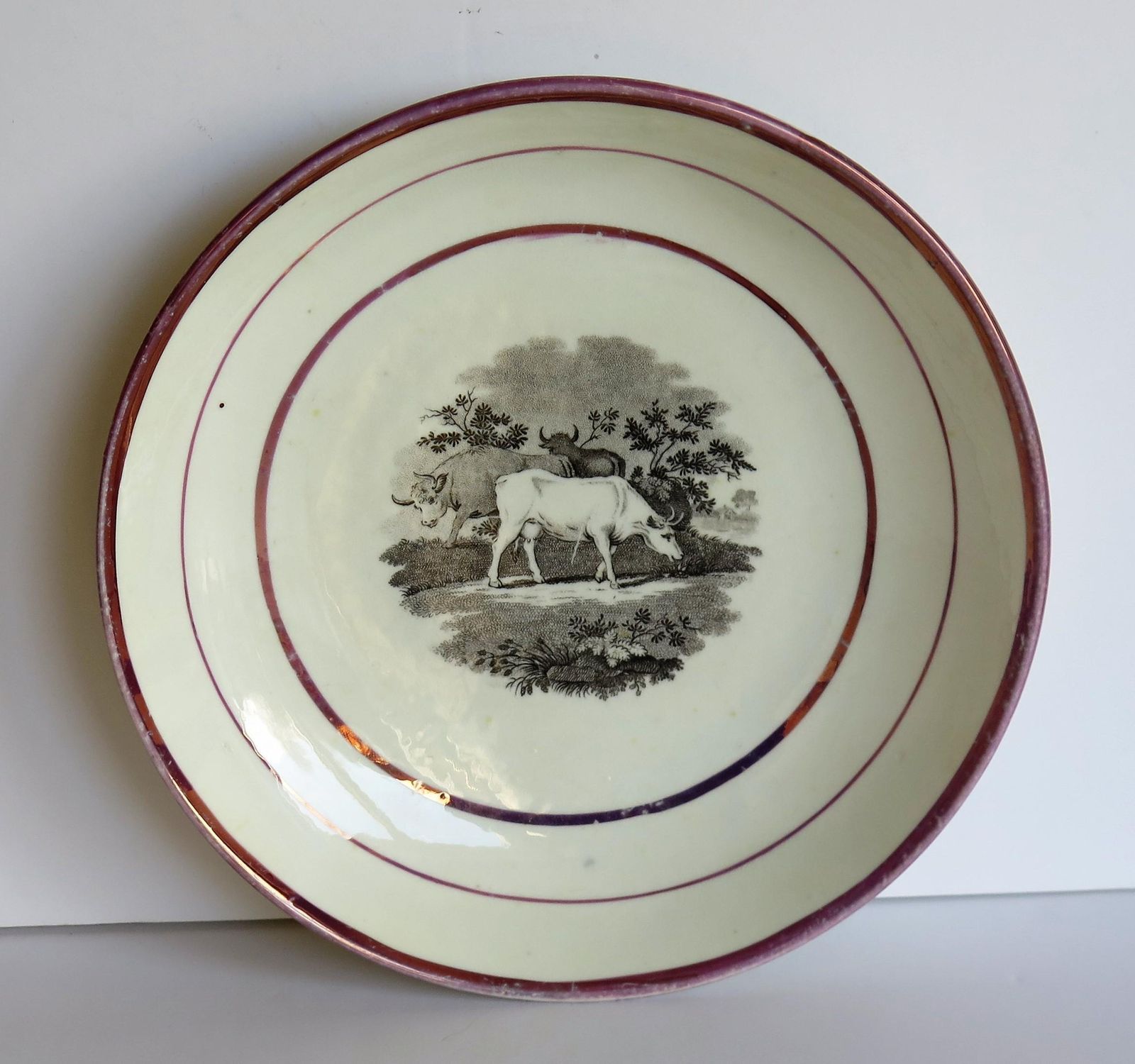 Georgian Sunderland Porcelain Lustre Dish Or Plate, English Early 19th Century photo 199.0