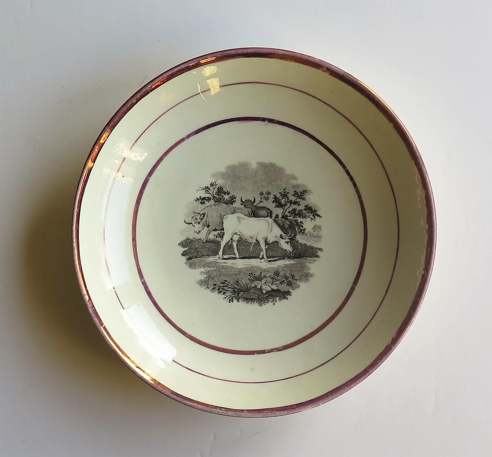 Georgian Sunderland Porcelain Lustre Dish Or Plate, English Early 19th Century photo buy