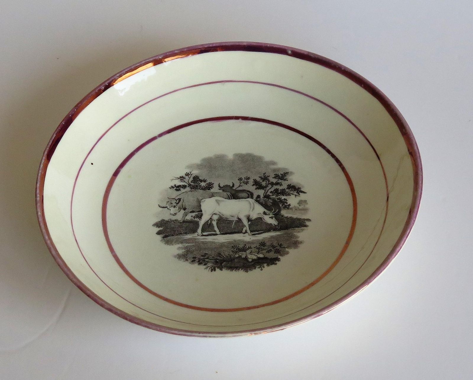photo vinterior Georgian Sunderland Porcelain Lustre Dish Or Plate, English Early 19th Century