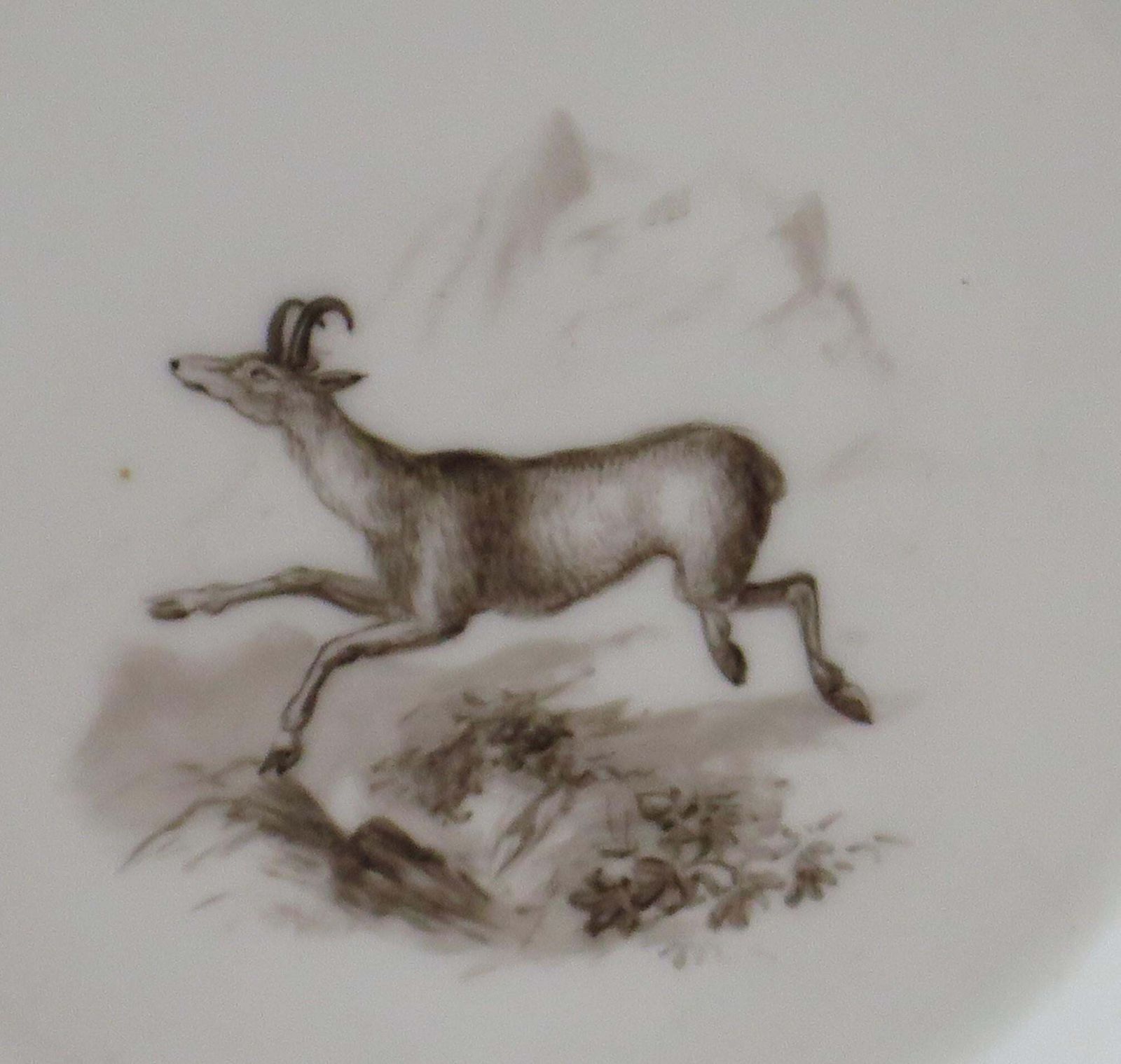 Fine Old Paris Porcelain Saucer With 'En Grisaille' Decoration, French Circa 1810 photo buy