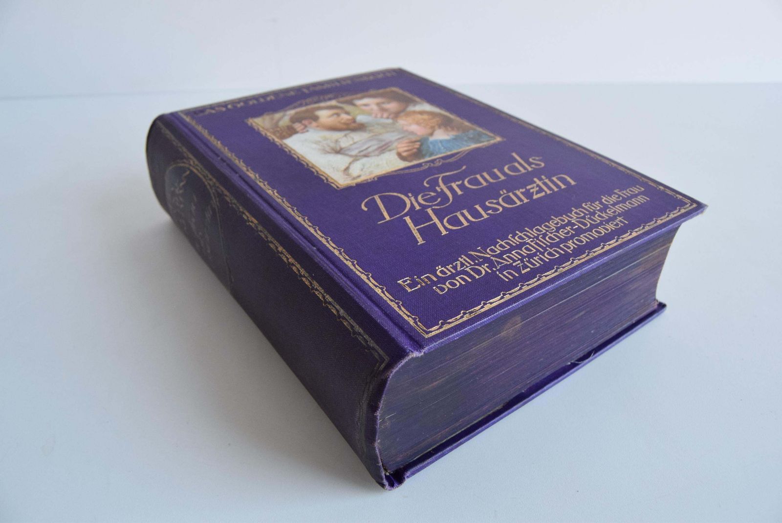 Historical Book "Die Frau Als Hausärztin" From 1918   A Unique Collector's Item photo for sale