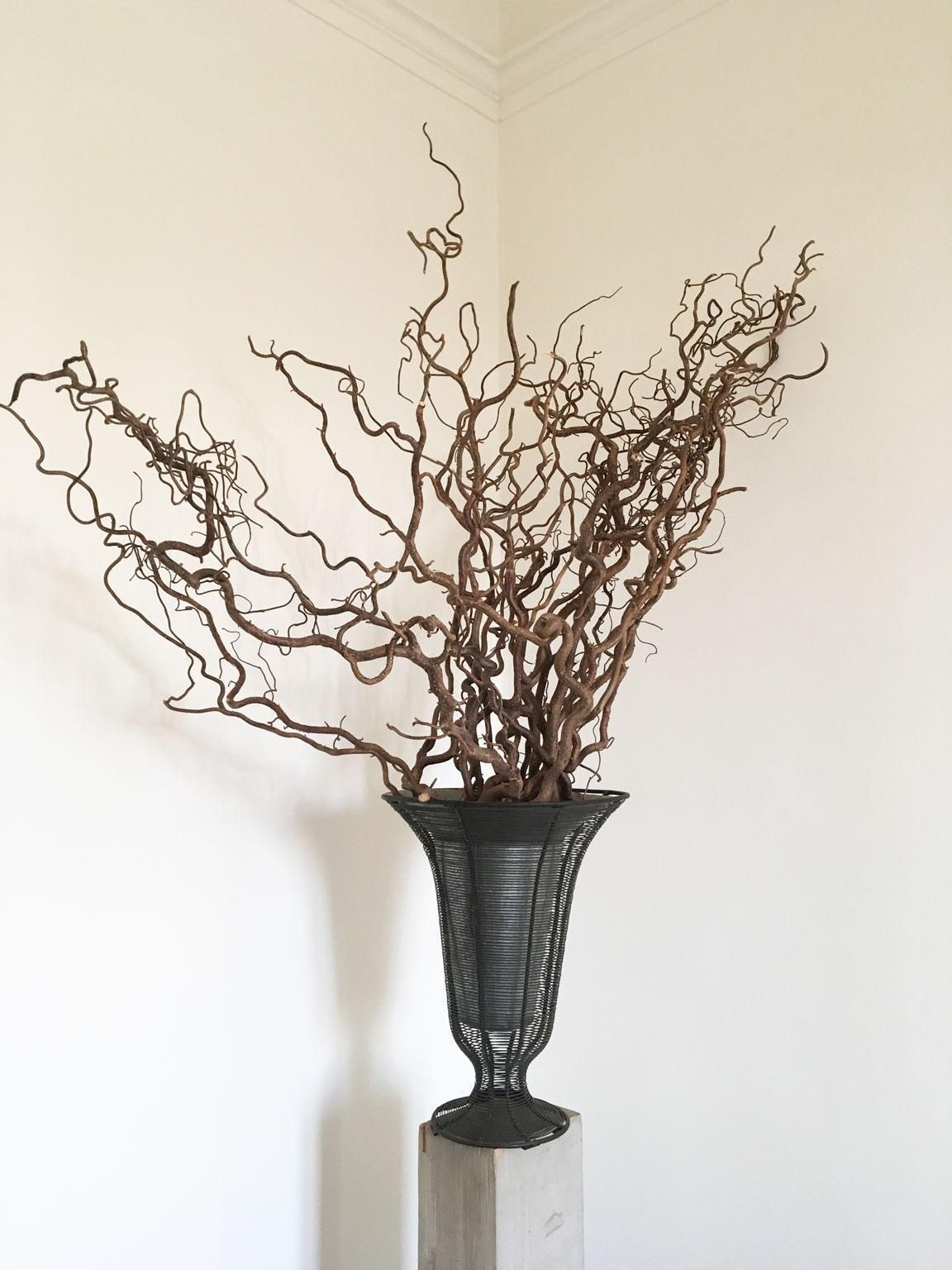 681.0 France Iron Wire Minimalist Vase And Planter Bowl photo