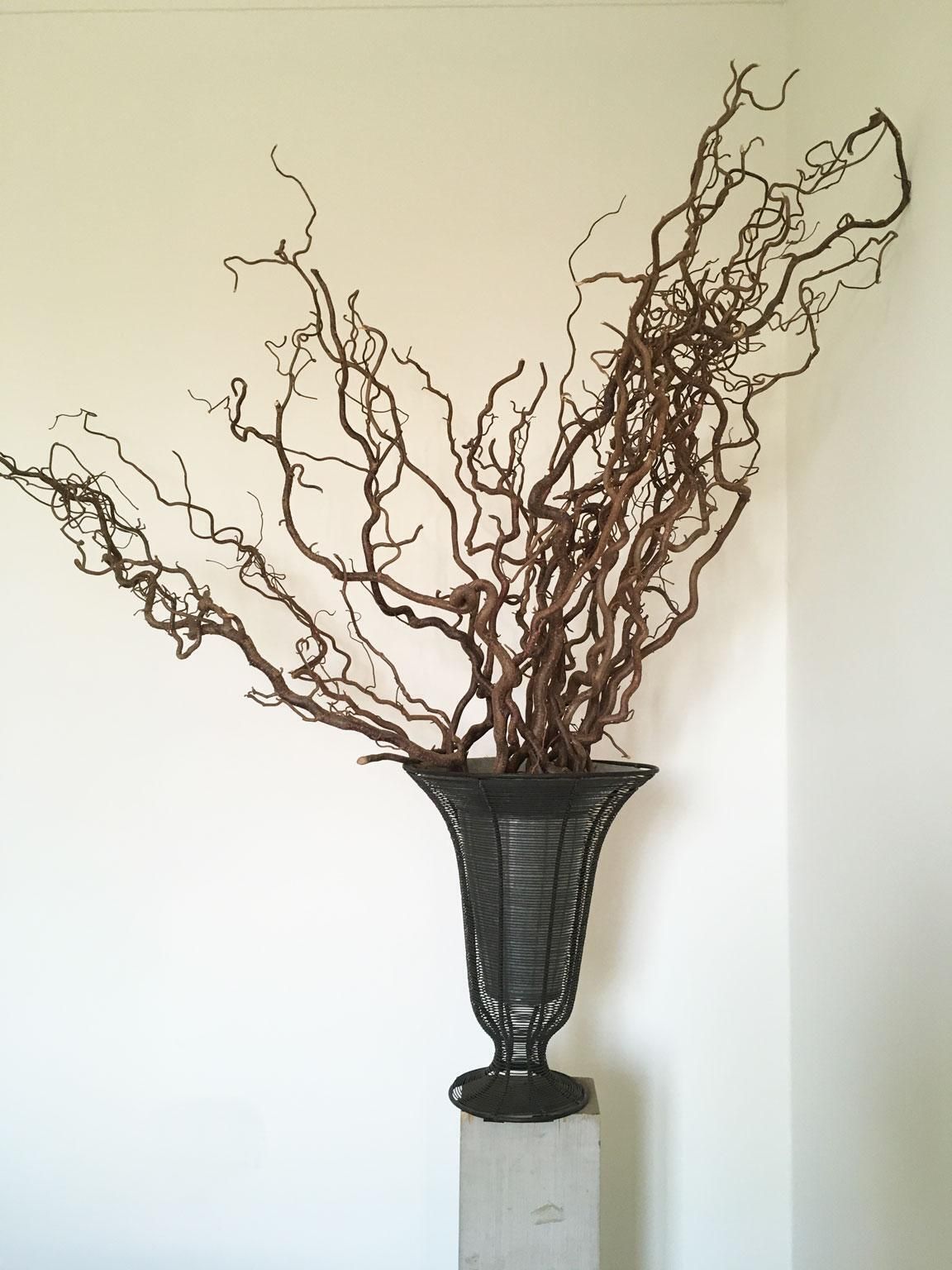 photo buy France Iron Wire Minimalist Vase And Planter Bowl
