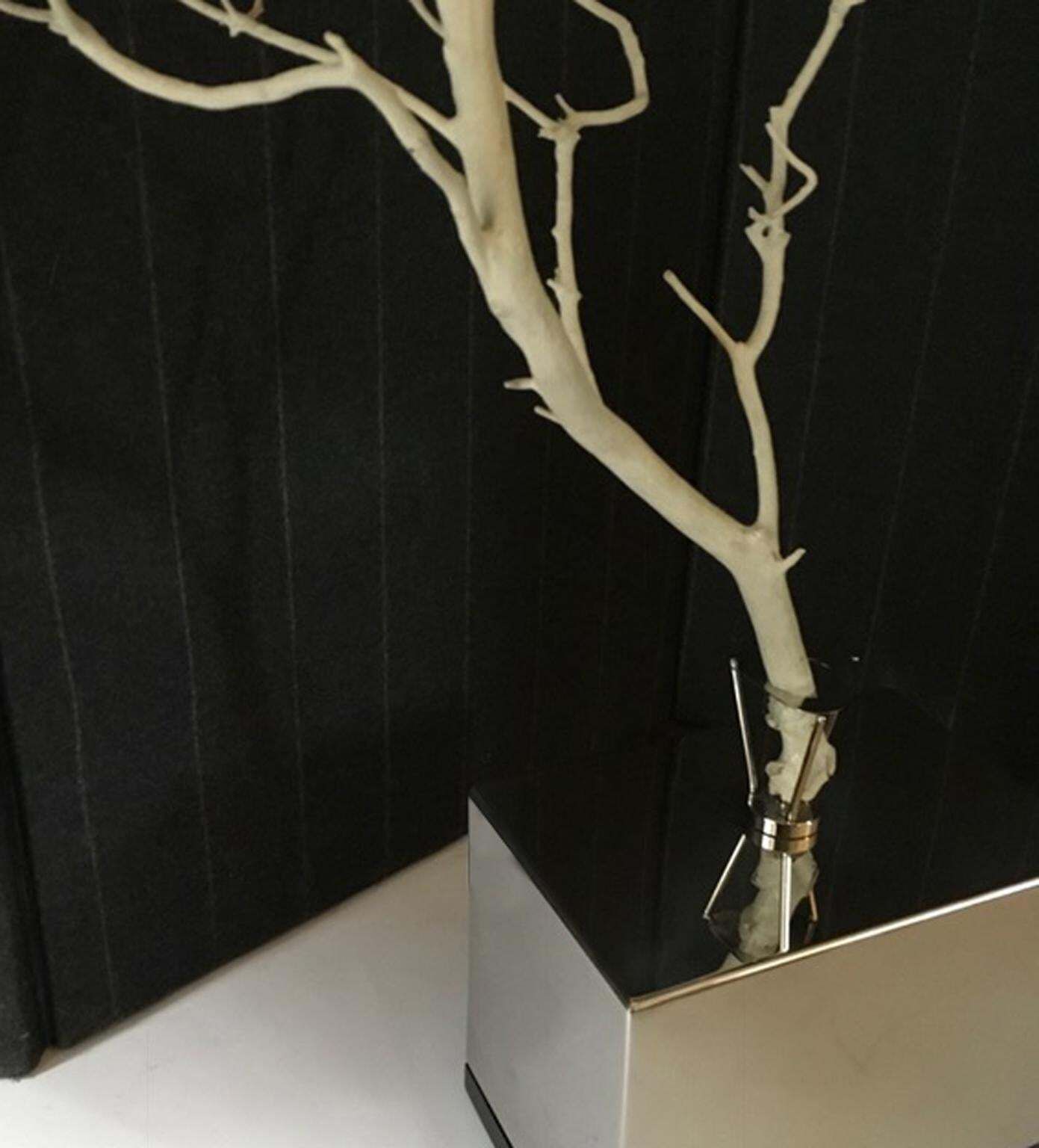 Italy Natural Abstract White Birch Branch On Chrome Stand photo buy