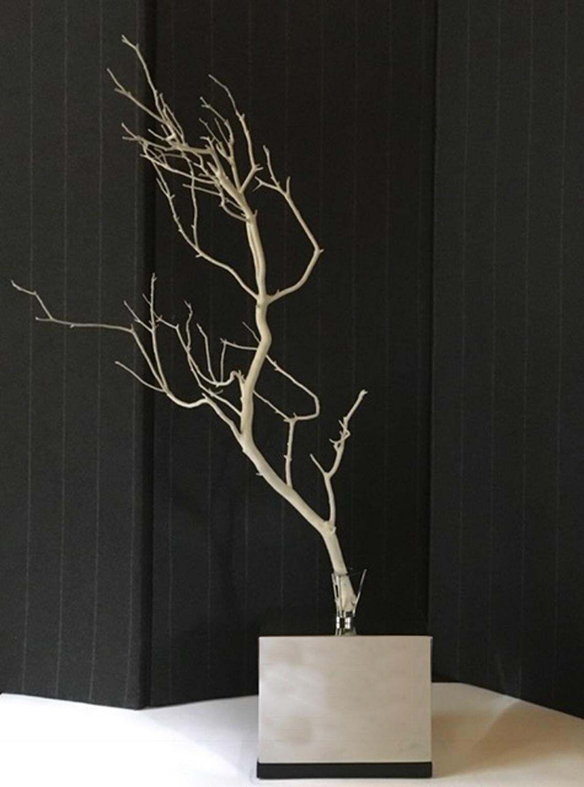 photo buy Italy Natural Abstract White Birch Branch On Chrome Stand