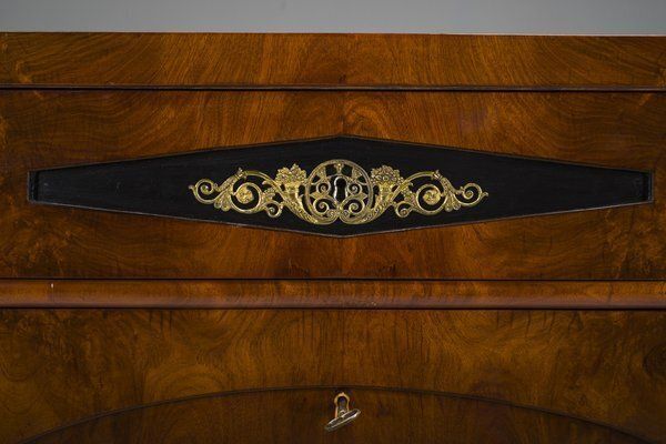 Early 19th Century Biedermeier Mahogany Commodes, 1830s photo Furniture