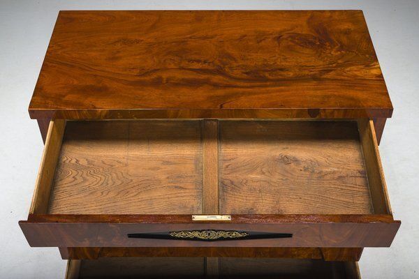 Early 19th Century Biedermeier Mahogany Commodes, 1830s photo vinterior