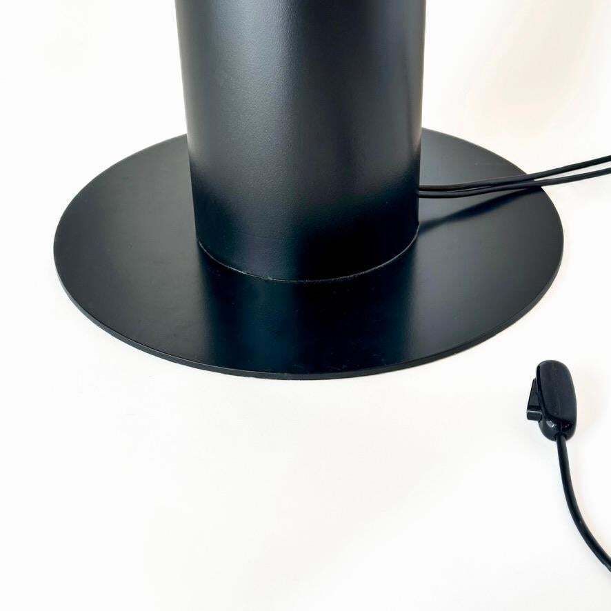 Aella Floor Lamp By Renato Toso & Giovanna Noti Massari For Leucos 1968 photo buy