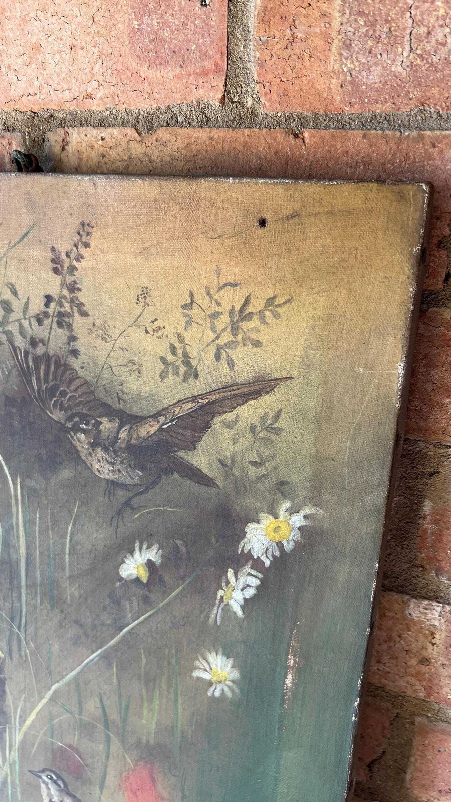 19th Century Oil Painting On Canvas – Nesting Birds In A Meadow photo 179.0
