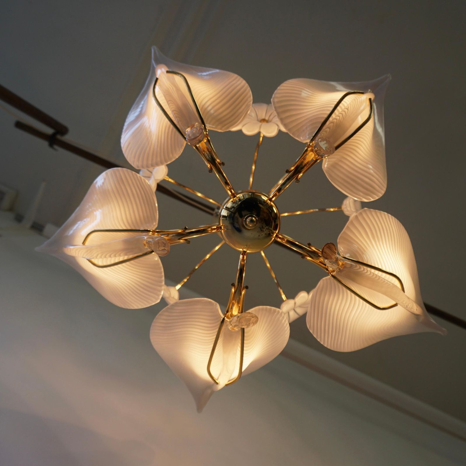 Franco Luce Chandelier In Brass And Glass Leaves And Flowers photo Lighting
