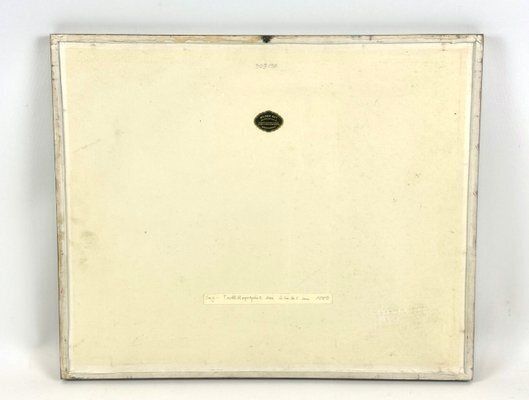 photo furniture Gotthilf Heinrich Von Schubert, Turtles, 1886, Copperplate Engraving, Framed