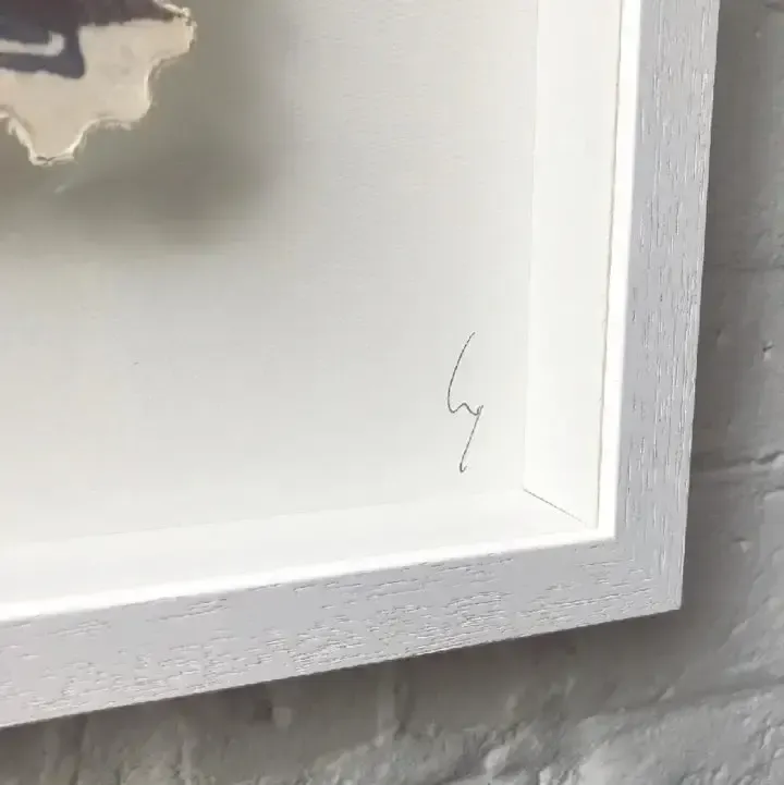 Guy Gee, Mississippi photo for sale