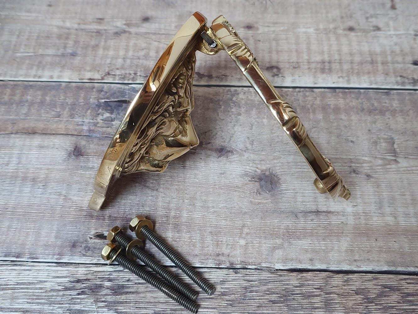 Polished Brass Lion Door Knocker, Heavy Brass Door Knocker photo vinterior