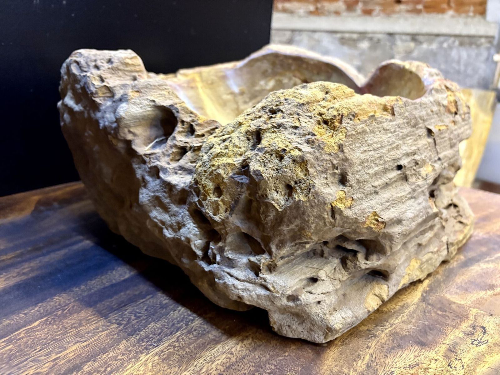 Modern Organic Petrified Wood Single Sink, Grey/ Brown & Yellow Tones, Idn 2024 photo 1650.0