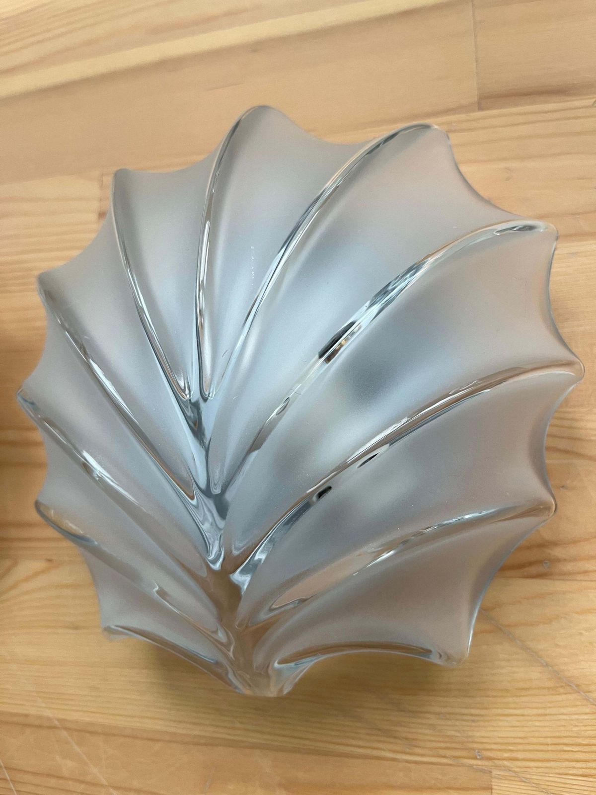 photo furniture German Mid Century Shell Clear Glass Pair Of Wall Sconces By Hillebrand, 1970s