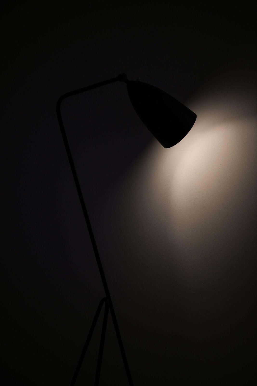 Greta Magnusson Grossman Floor Lamp Model G 33 / Grasshopper Produced By Bergbom photo vintage