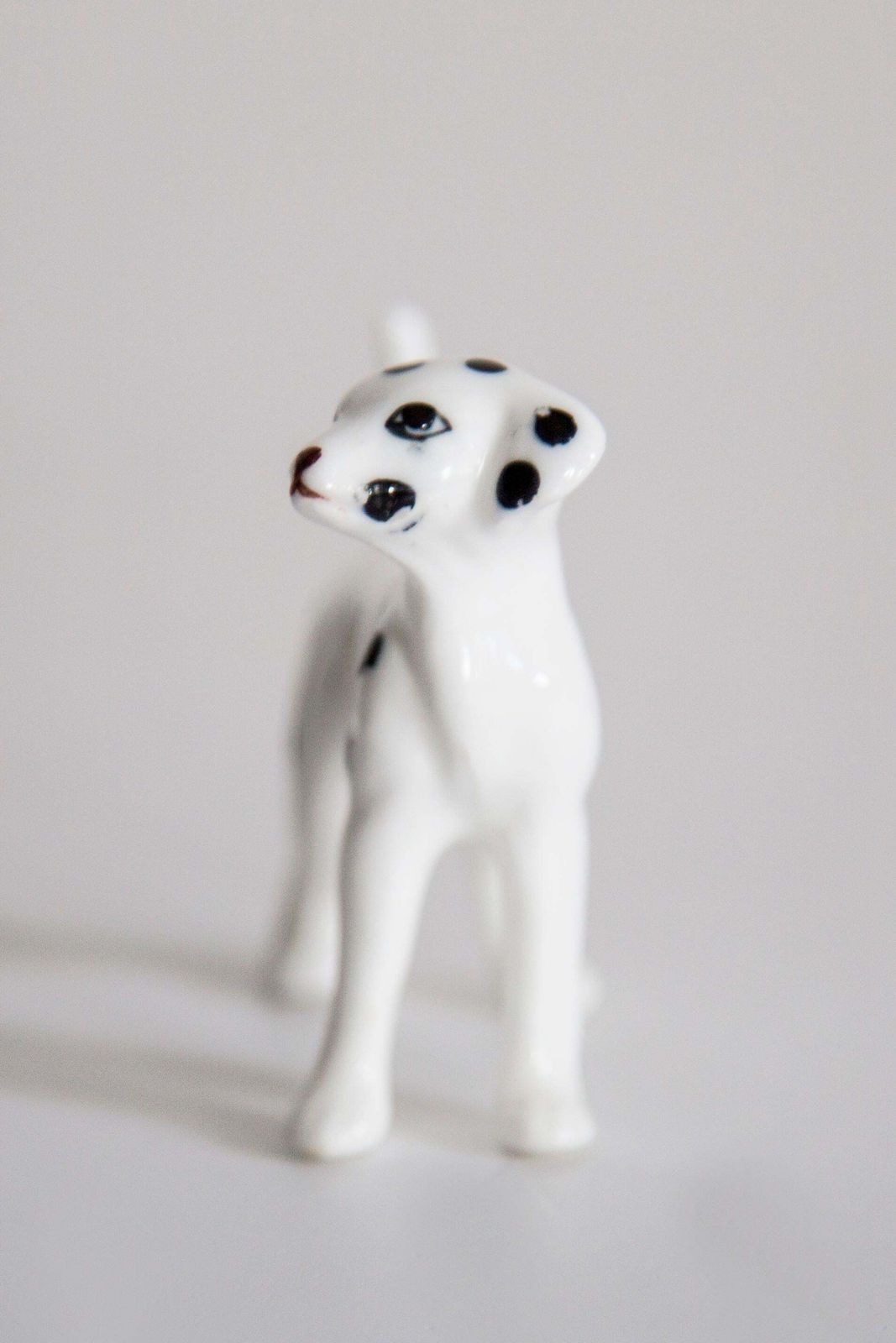 20th Century Mini White Dalmatian Dog Sculpture, Italy, 1960s photo Art