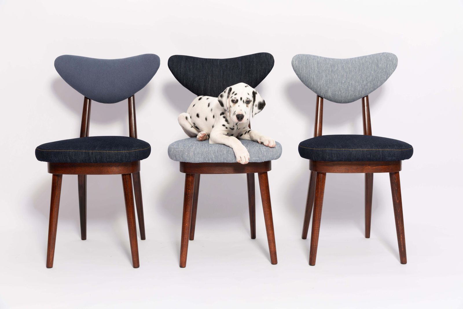 photo buy Set Of Four Midcentury Light And Medium Blue Denim Heart Chairs, Europe, 1960s