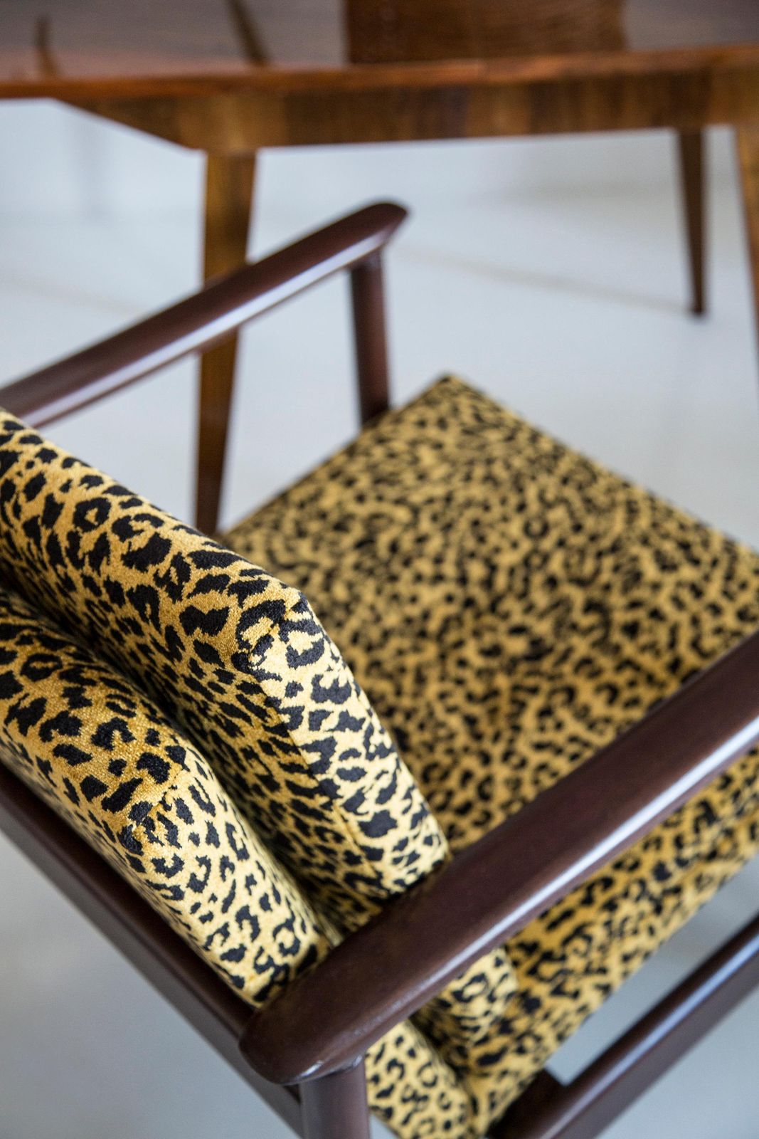 photo buy Mid Century Leopard Fauteuil, Gfm 142, Edmund Homa, Europa, Jaren 1960