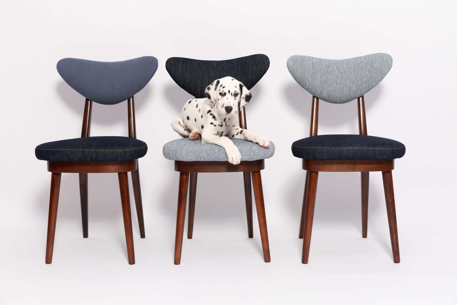 photo vinterior Set Van Tien Mid Century Stoelen Met Hartvormige Zitting, Bekleed In Licht  En Donkerblauw Denim, Europa, Ca. Jaren 1960