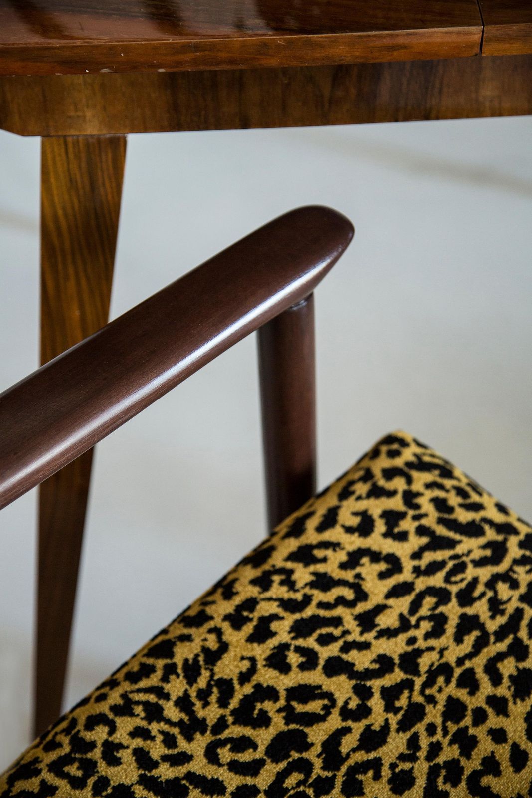 Mid Century Leopard Armchair, Gfm 142, Edmund Homa, Europe, 1960s photo 1531.0