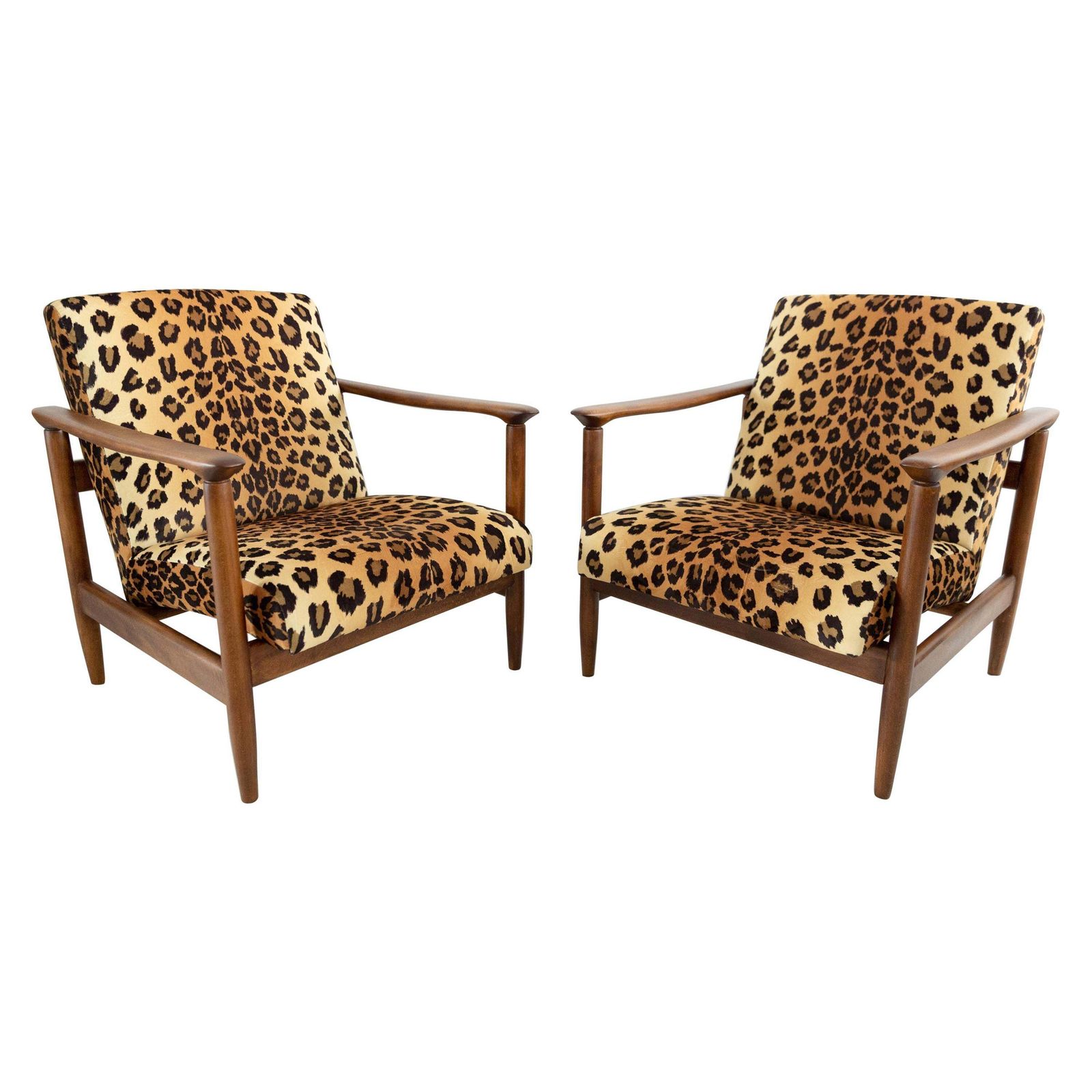 Set Van Twee Fauteuils Met Luipaardprint Fluweel, Edmund Homa, Gfm 142, Jaren 1960, Polen