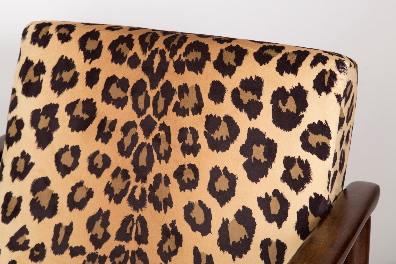 Pair Of Leopard Print Velvet Armchairs, Edmund Homa, Gfm 142, 1960s, Poland photo vinterior