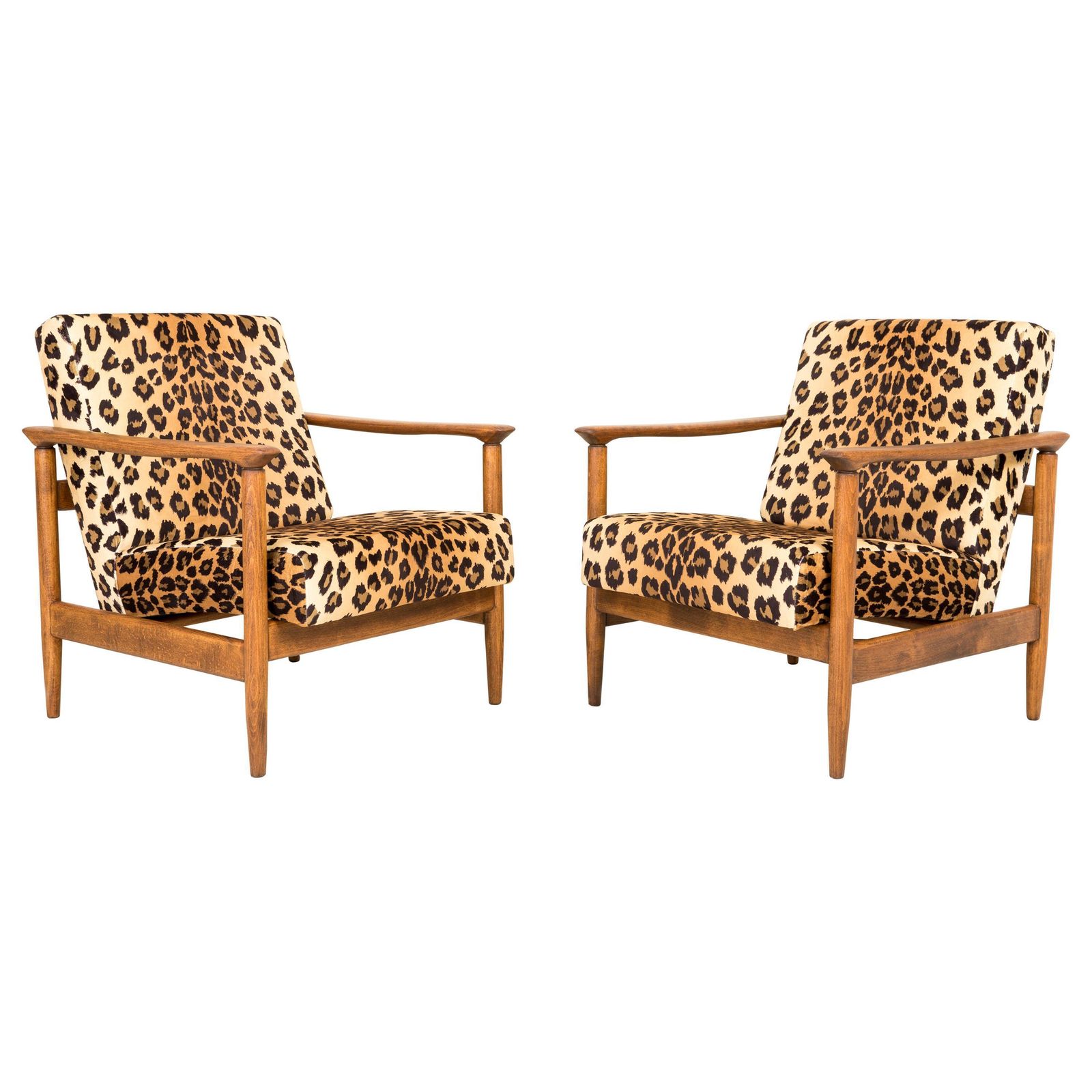 Paar Fauteuils Met Luipaardprint Fluweel, Edmund Homa, Gfm 142, Jaren 1960, Polen