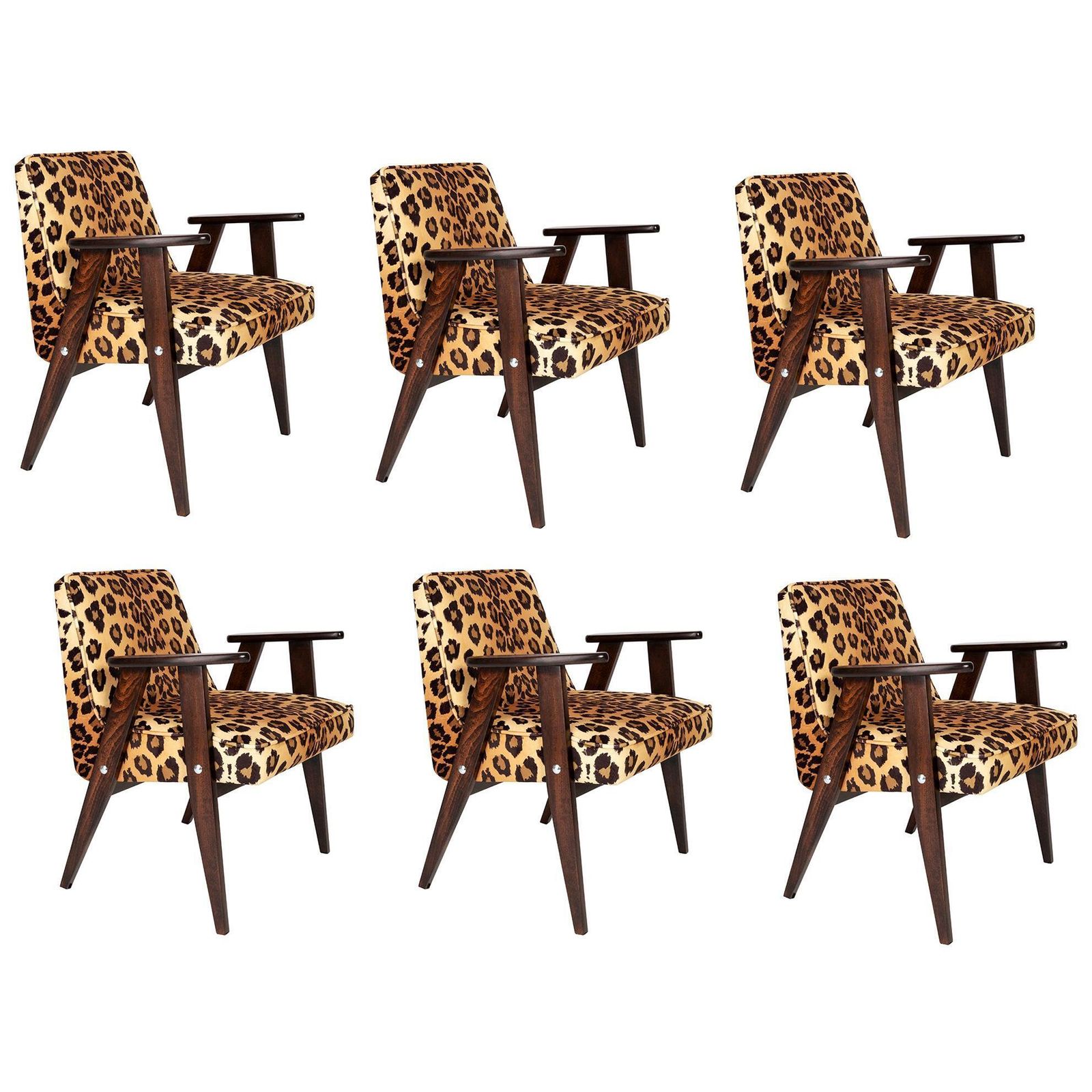 Six Midcentury 366 Armchairs In Leopard Print Velvet, Jozef Chierowski, 1960s