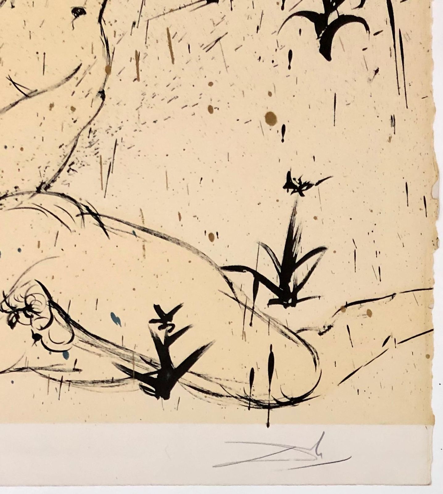 Salvador Dali, The Creation Of Eve 1970 photo Art