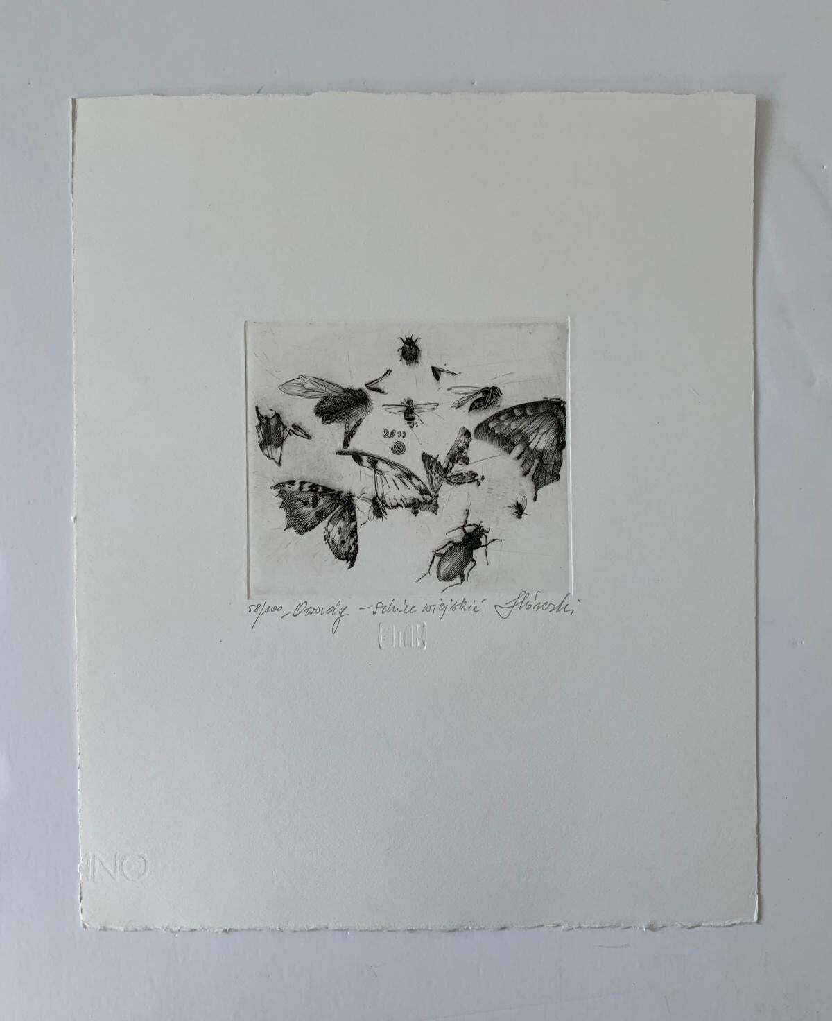 Krzysztof Skorczewskiinsects   21st Century Figurative Copperplate Print Black & White2011 photo furniture