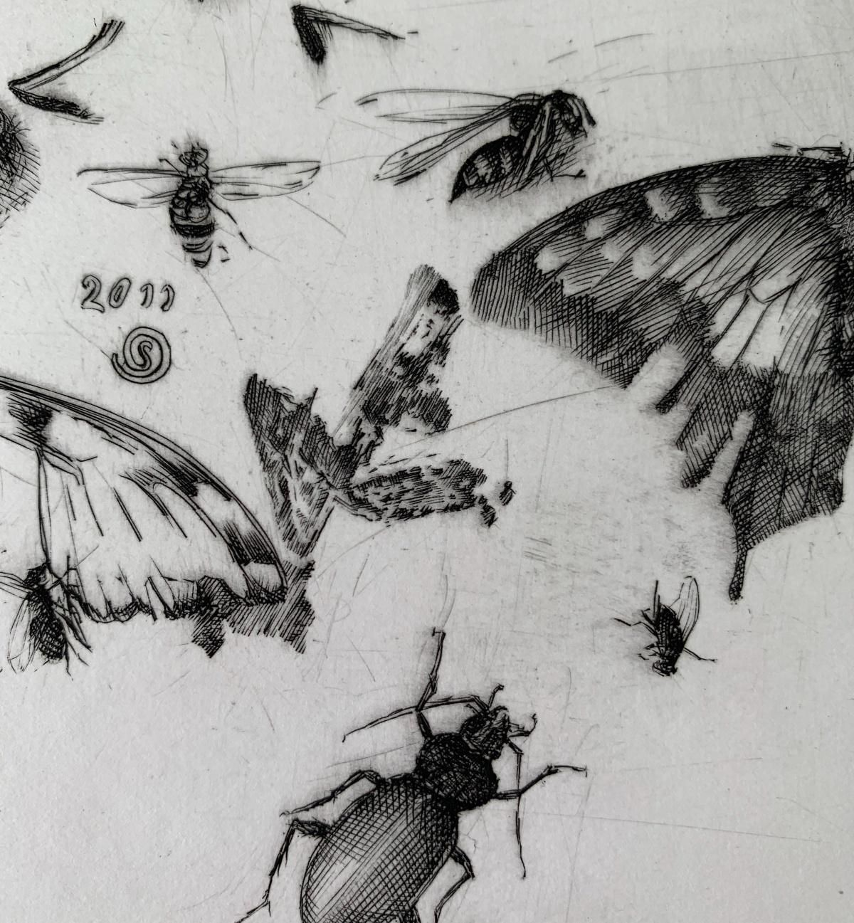 Krzysztof Skorczewskiinsects   21st Century Figurative Copperplate Print Black & White2011 photo 230.0