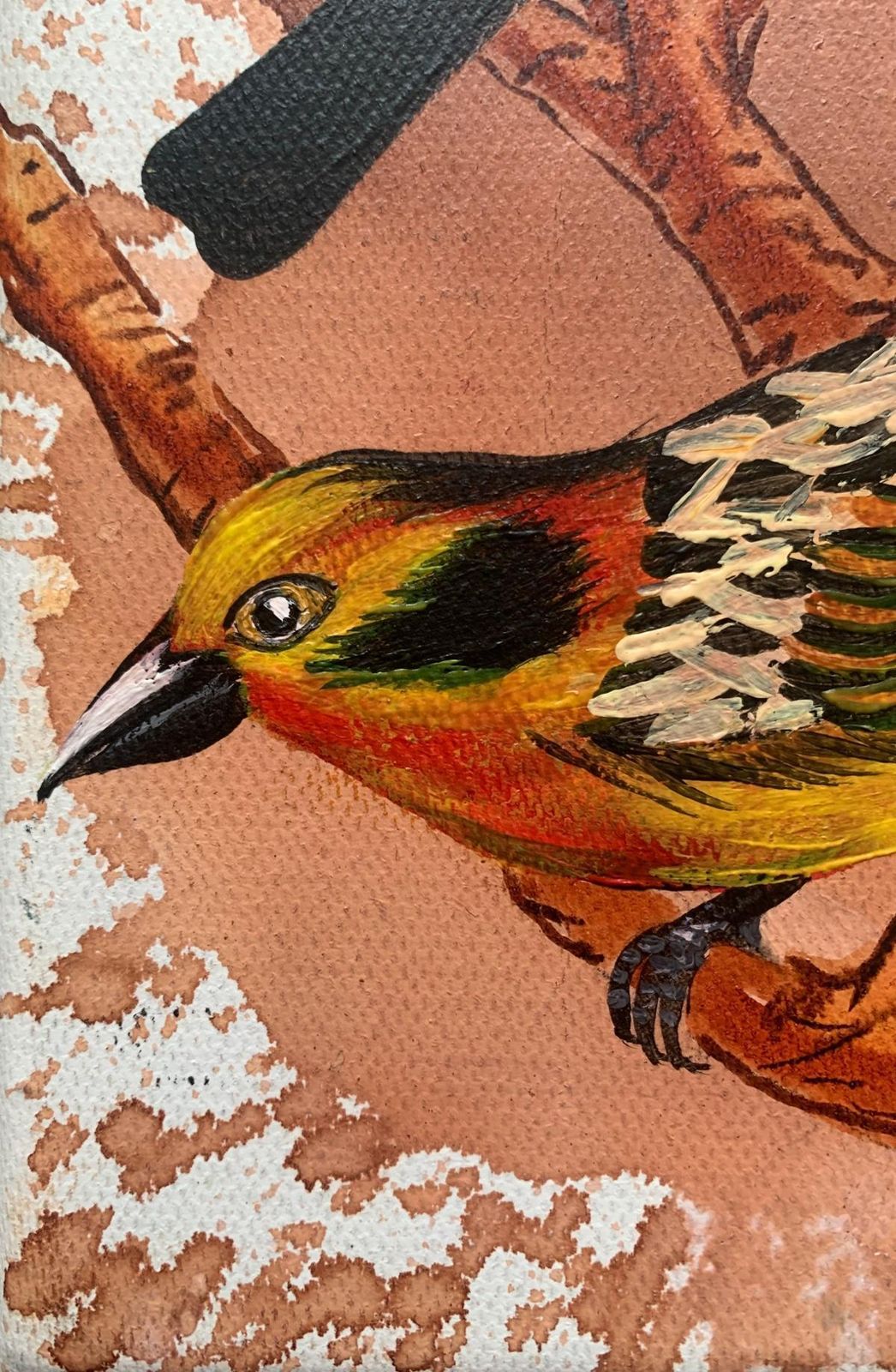 Magdalena Nałęczbirds 5. Figurative Small Scale Oil Painting, Realistic, Animals, Polish Art2024 photo Art