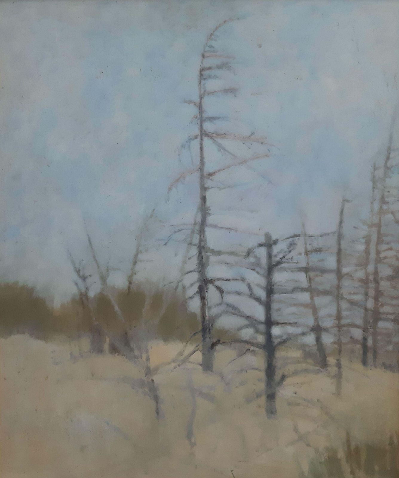 Maria Prokopa Silent Lanscape   Xxi Century, Contemporary Figurative Painting, Forest2001