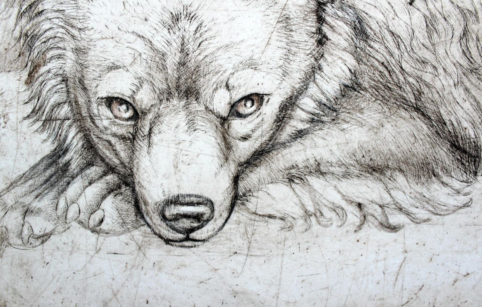 Maria Korusiewiczbeware Of Dogs II   Contemporary Art, Figurative Print, Old Masters Inspiredunknown photo for sale