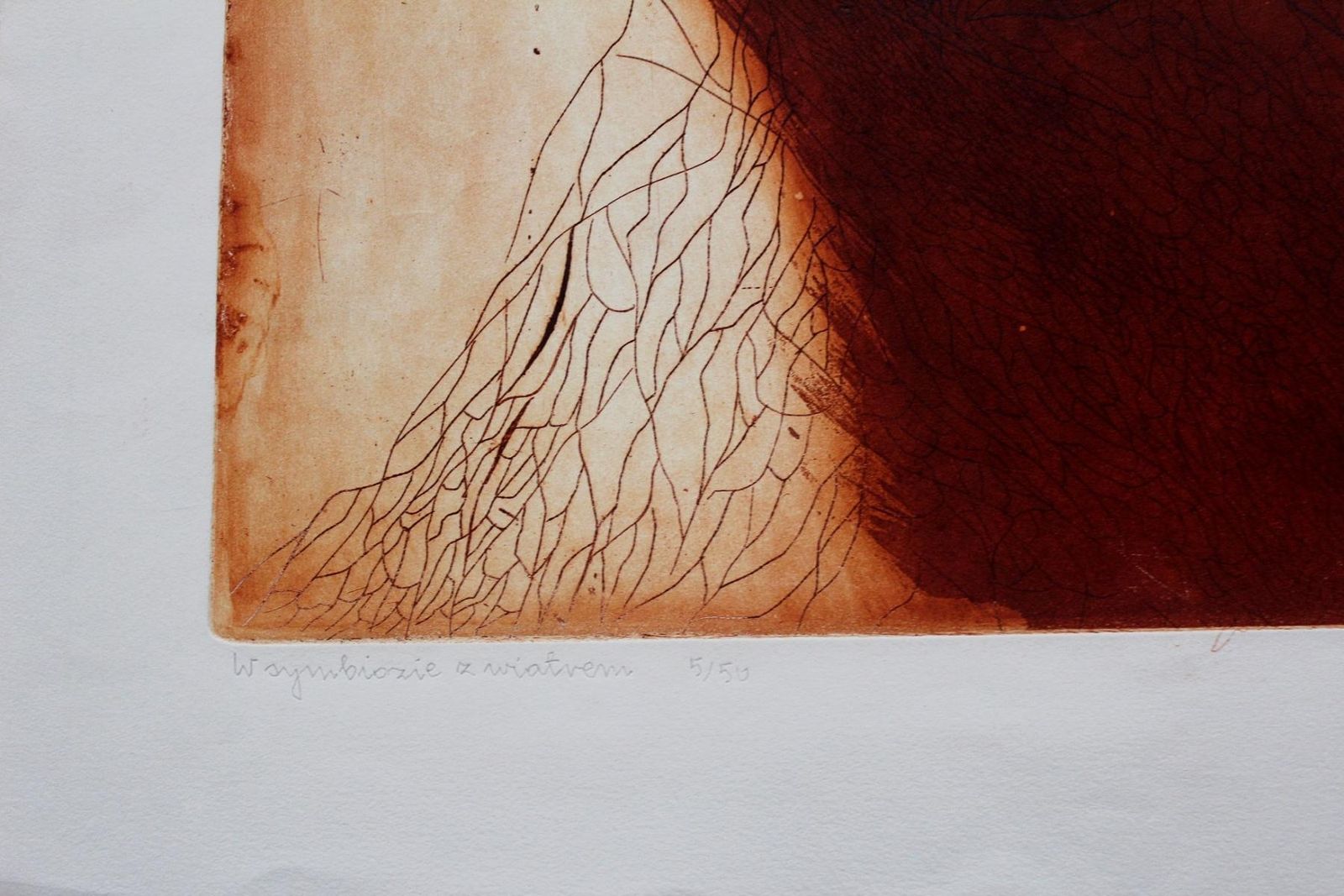 Irena Snarskabutterfly's Tragedy   XX Century, Abstract Etching Print, Monochromatic1990 photo furniture