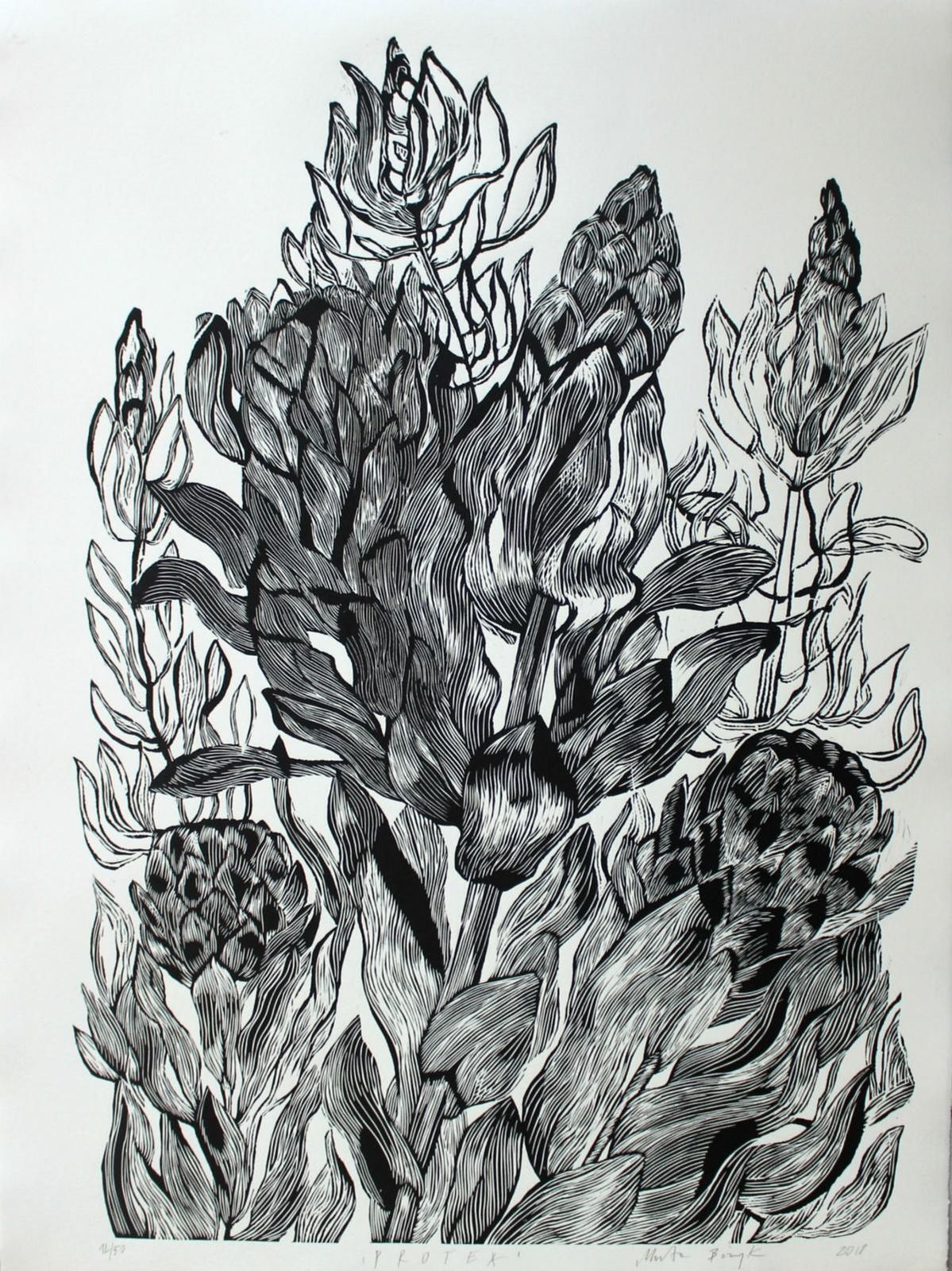 Marta Bozykprotea   Xxi Century, Contemporary Floral Linocut, Black And White2018 photo Art