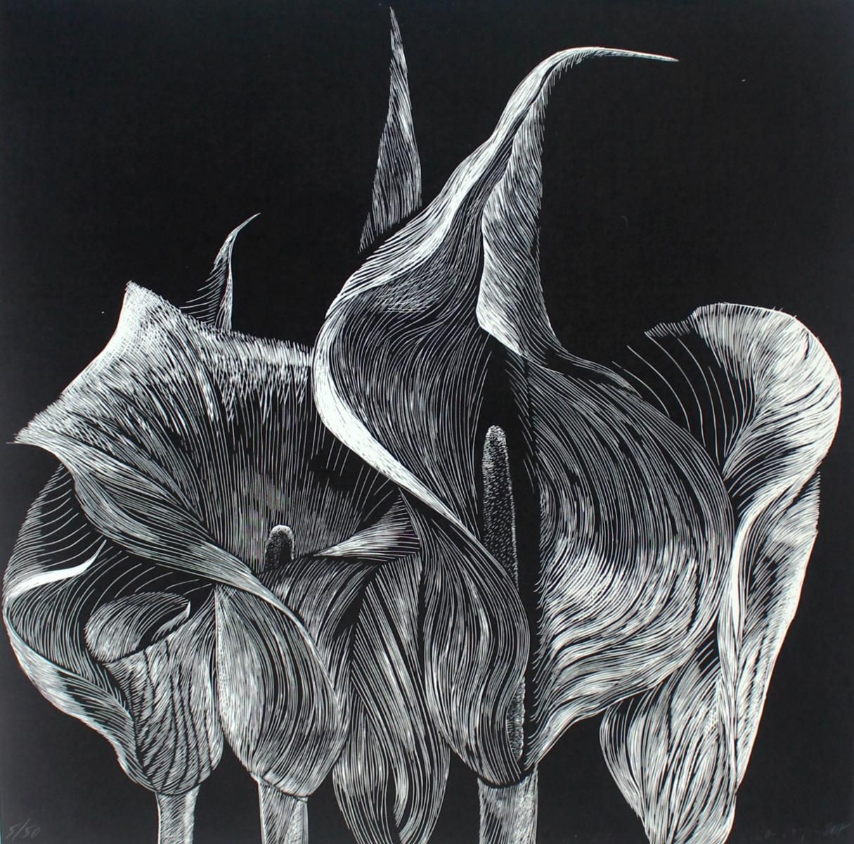 Marta Bozykcantedeskia   Xxi Century, Linocut, Flower, Contemporary Figurative Art2017