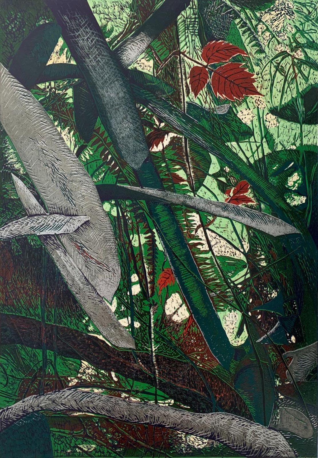 Marta Garbaczewskaforest 9   Contemporary Linocut, Flora, Nature, Polish Artist, Young Art2019