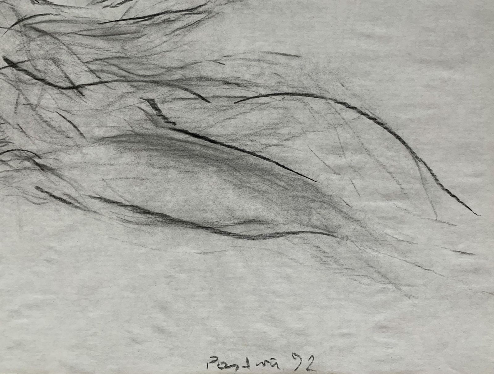 Antoni Janusz Pastwauntitled   Contemporary Pencil Drawing, Figurative, Black & White1992 photo Art
