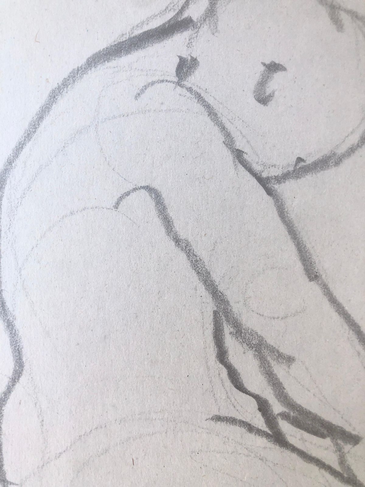 Jose Antonio Herrera Alcazar Nude Woman Pencil On Paper Artwork 2015 photo 200.0