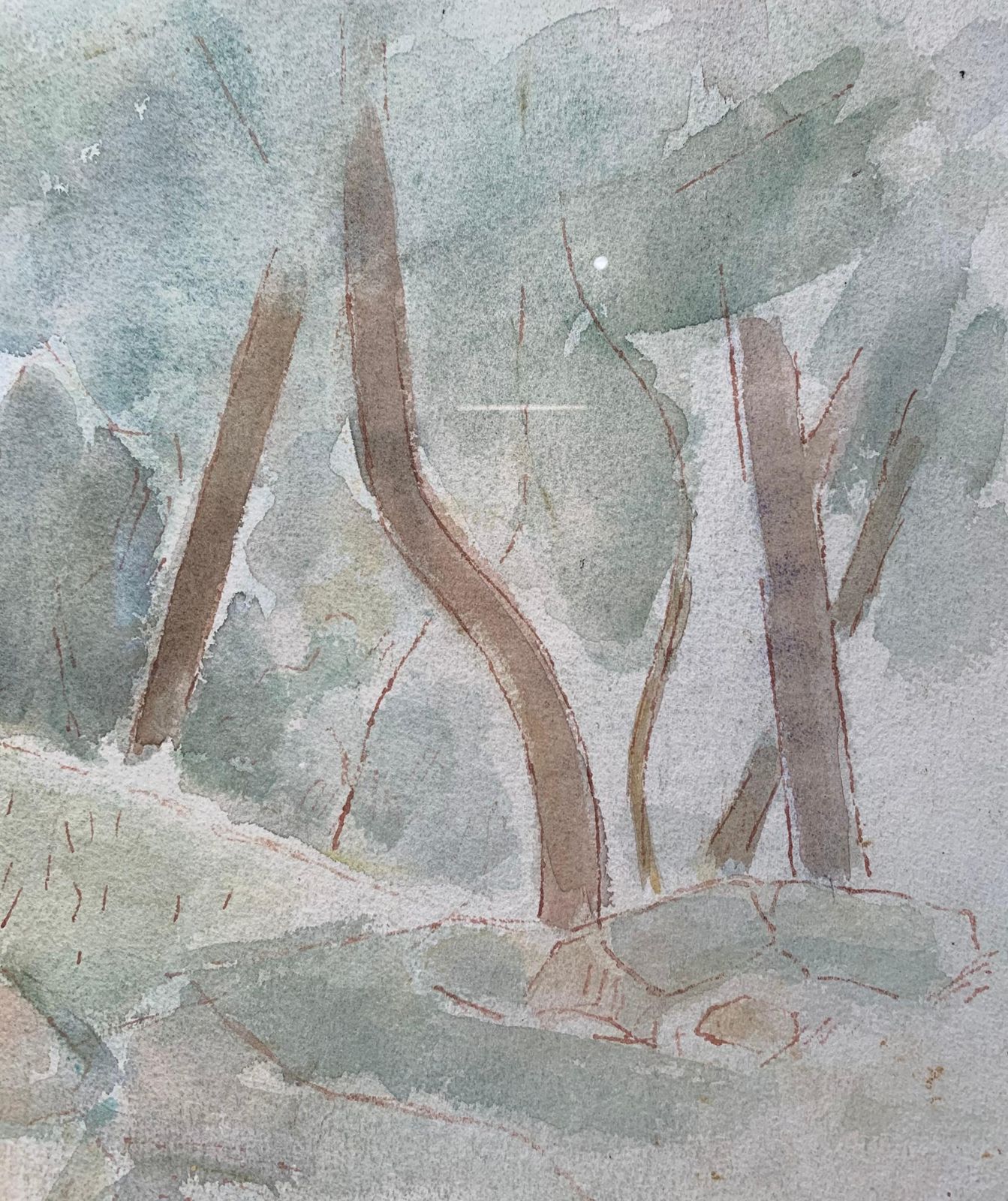 Giulio Da Milano"Undergrowth" Forest, Trees, Greenery 1929 Watercolor Cm. 36, 5 X 26, 51929 photo for sale
