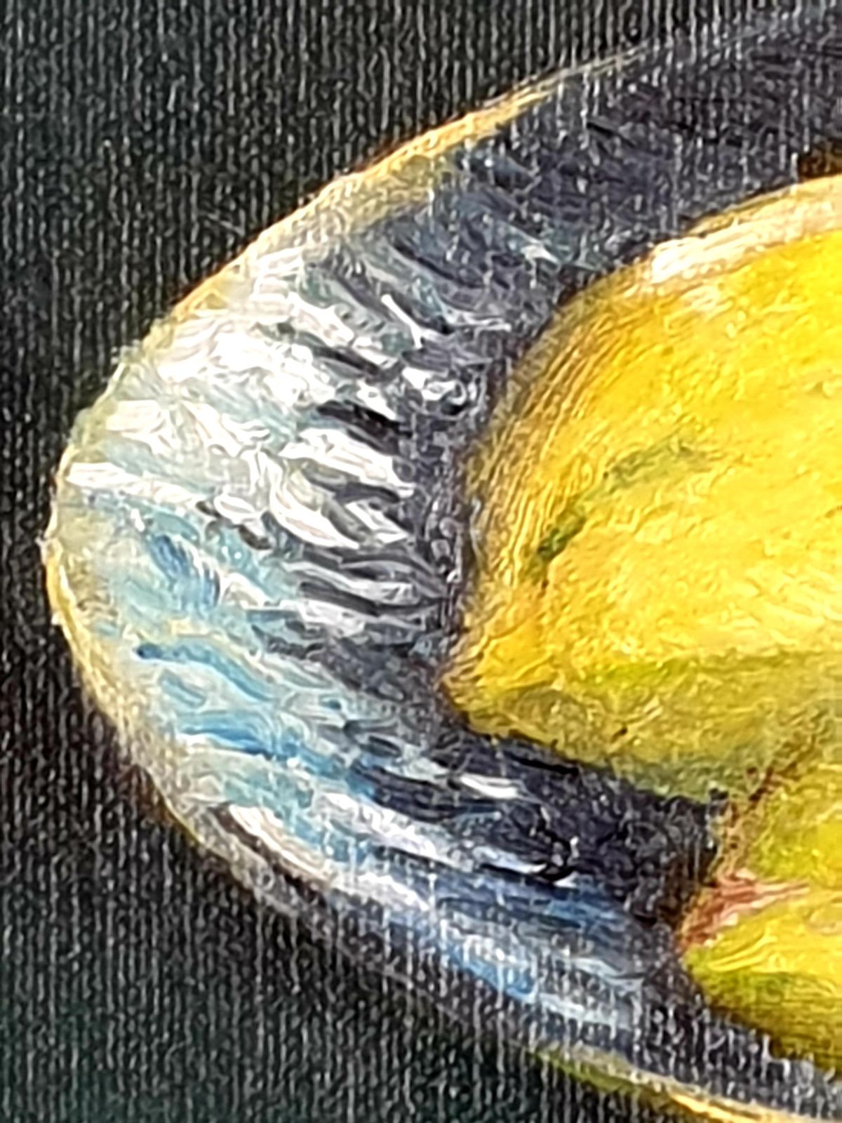 744.0 Bernadette Van Baarsencontemporary Realist Still Life Oil Of Lemons. 'Citrons De Barbara'. 2021 photo