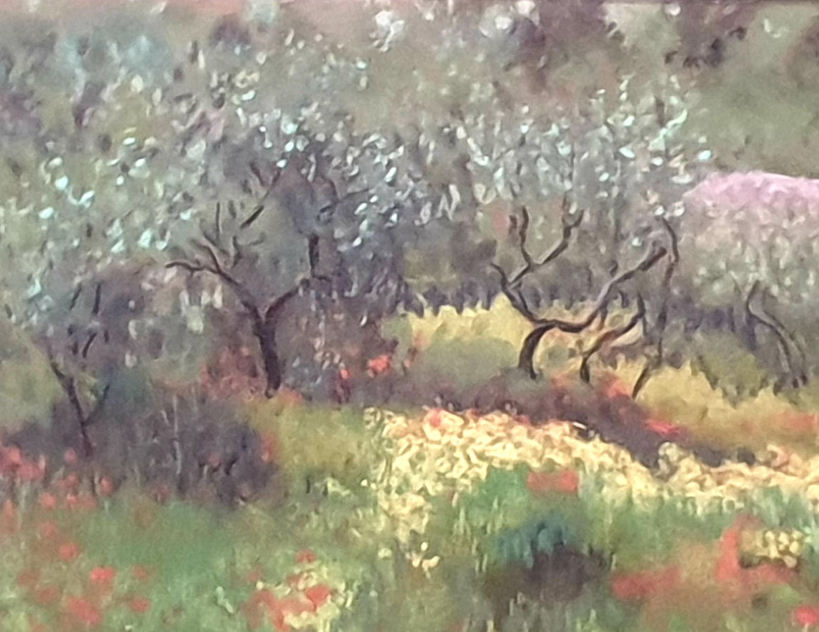 Miranda Mcarthur Olive Grove And Poppies, Contemporary Impressionist Pastel On Paper.2022 photo 935.0