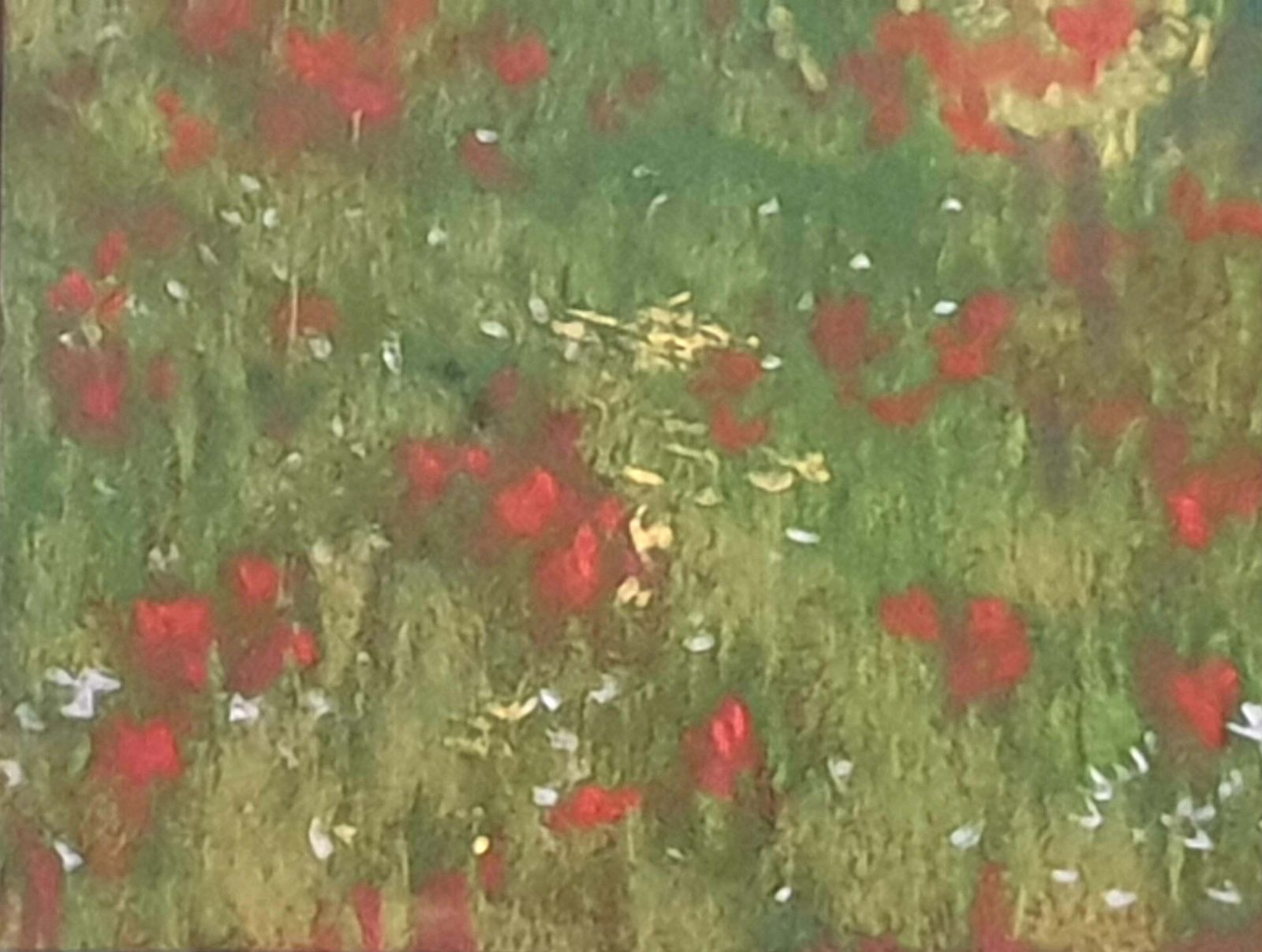 Miranda Mcarthur Olive Grove And Poppies, Contemporary Impressionist Pastel On Paper.2022 photo vintage