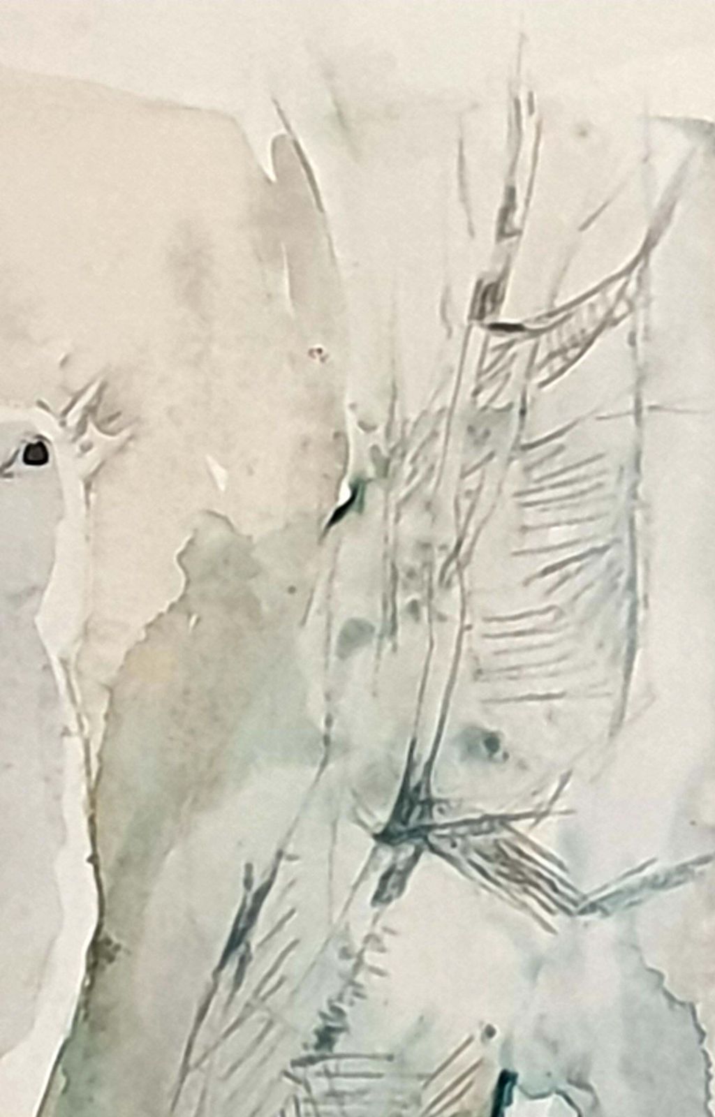 Ivy Baileymid Century Watercolour On Paper Of A Songbird. 'Ephemeral Songster'1936 photo buy