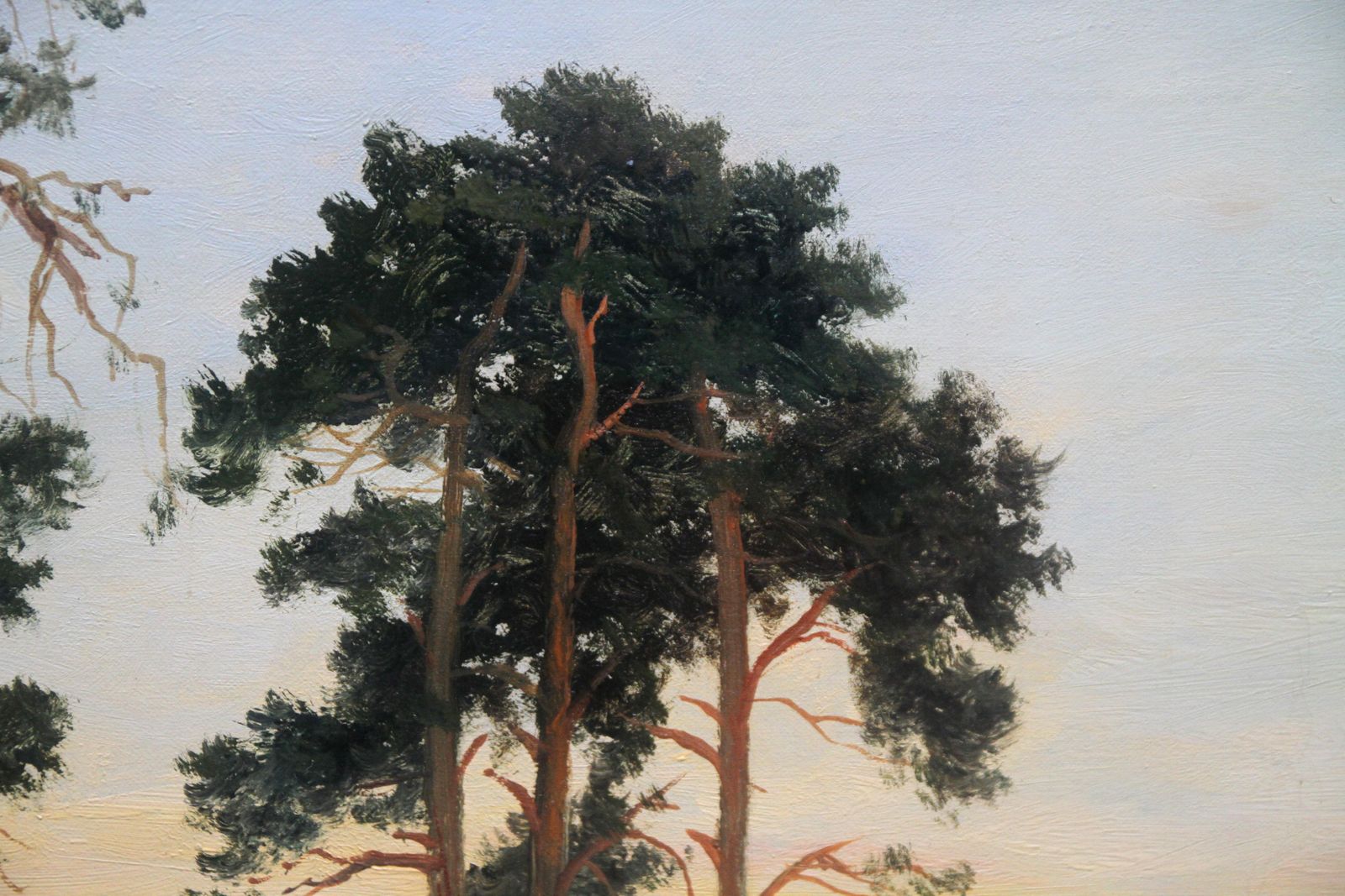 Daniel Sherrinclose Of Day   British 1900 Victorian Art Pine Trees Landscape Oil Painting Circa 1900 photo Art